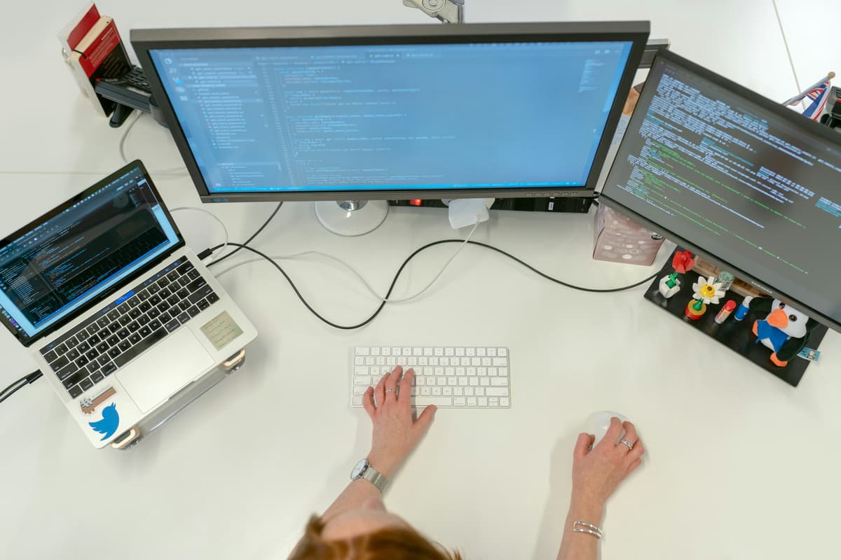 Game Development Team