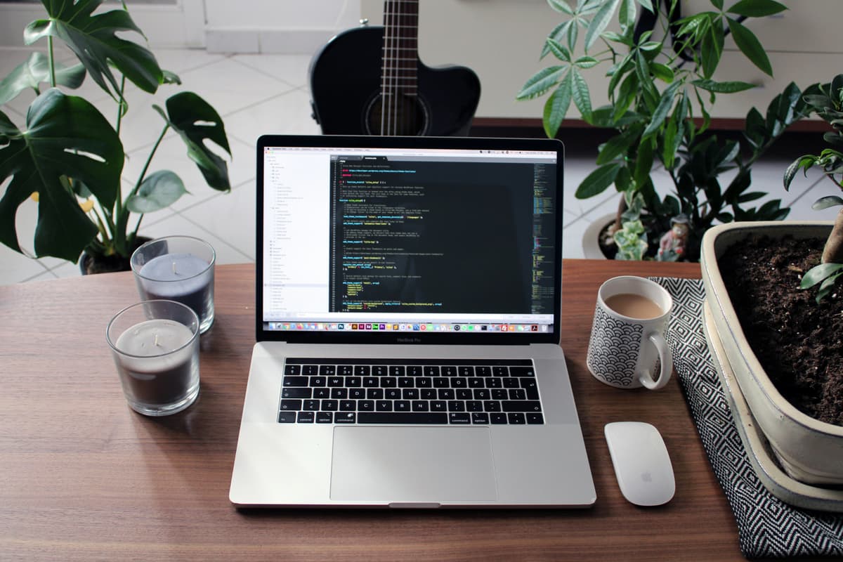 Web Development Team